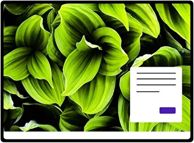 Hoja de Planta Verde tema para Windows 11