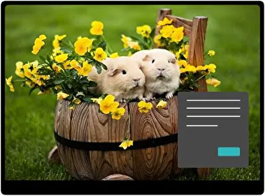 Шиншила Темна тема для Windows 11