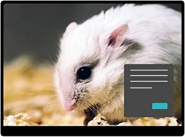 Хом’як Темна тема для Windows 11