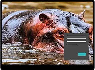 Гіпопотам Темна тема для Windows 11