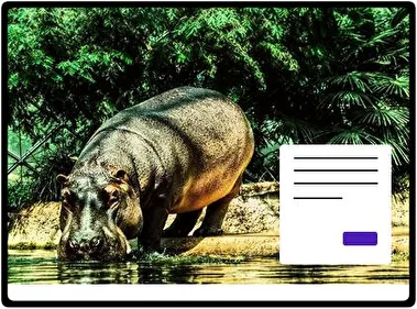 Hipopótamo tema para Windows 11