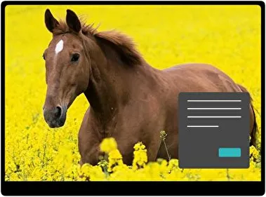 Коні Темна 2 тема для Windows 11