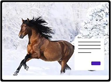 Caballos tema para Windows 11