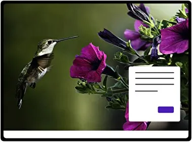 Colibrí tema para Windows 11