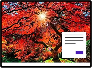 Japońska Jesień motyw dla Windows 10 i 11