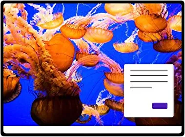 Medusas tema para Windows 11
