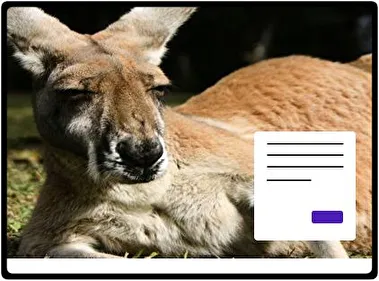 Canguro tema para Windows 11