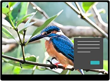 Їжа́чок Темна тема для Windows 11