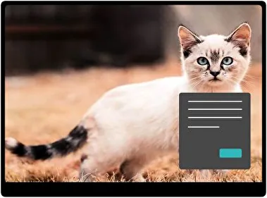 Котеня Темна тема для Windows 11