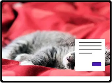 Котеня тема для Windows 11