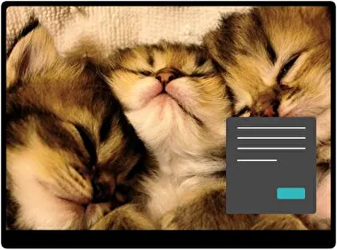 kittens Темна тема для Windows 11
