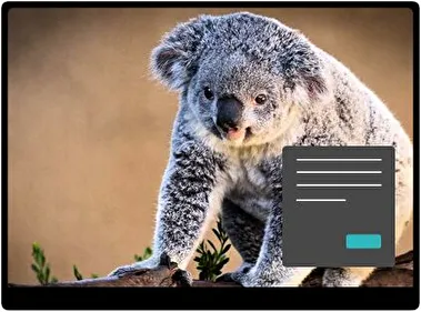 Коала Темна тема для Windows 11