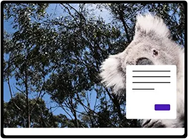Koala tema para Windows 11