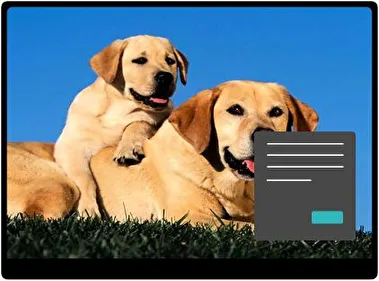 Лабрадор Ретрівер Темна тема для Windows 11