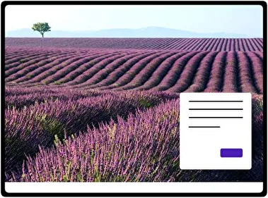 Lavanda tema para Windows 11