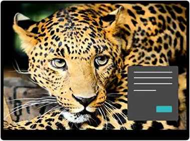 Леопард Темна тема для Windows 11