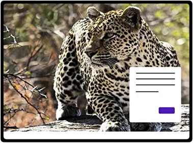 Leopardo tema para Windows 11