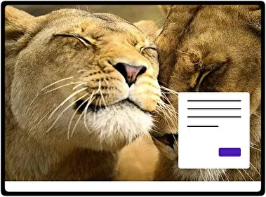 León tema para Windows 11