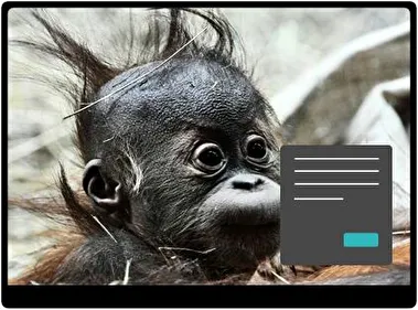 Мавпа Темна тема для Windows 11