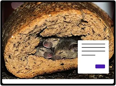 Ratón tema para Windows 11