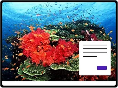 Vida Oceánica tema para Windows 11