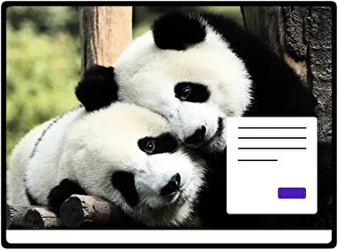 Panda tema para Windows 11