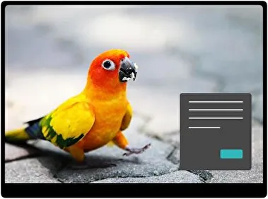 Папуга Темна тема для Windows 11