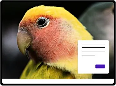 Loro tema para Windows 11