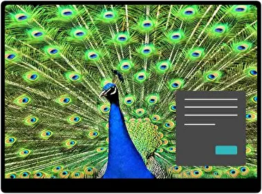 Павич Темна тема для Windows 11