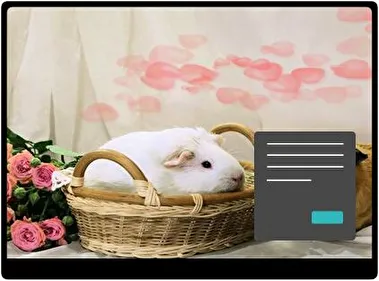 Cobayas de mascota Oscuro tema para Windows 11