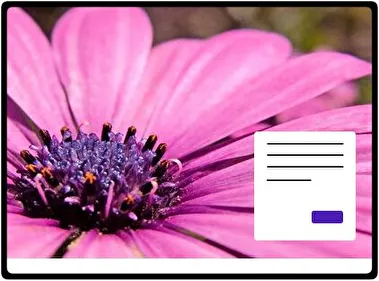 Rosa tema para Windows 11