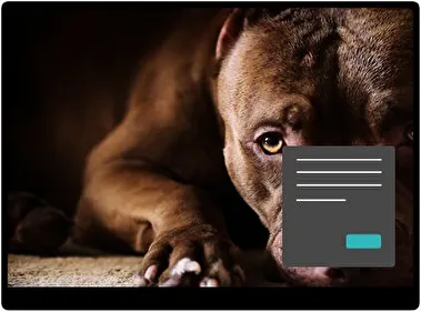 Пітбуль Темна тема для Windows 11