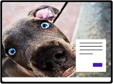 Pitbull tema para Windows 11