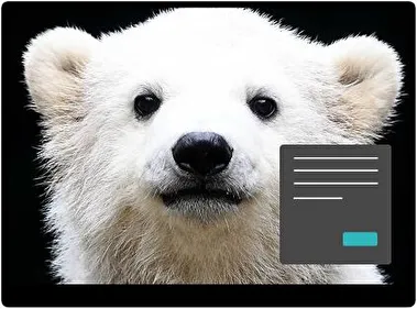 Полярний ведмідь Темна тема для Windows 11