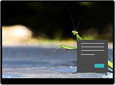 Молі Ахат Темна тема для Windows 11