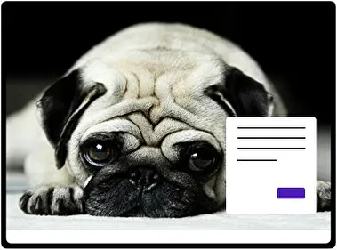 Pug tema para Windows 11