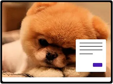 Cachorro tema para Windows 11