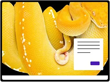Python tema para Windows 11