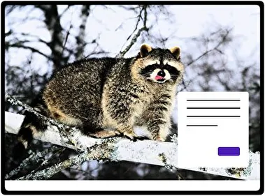 Mapache tema para Windows 11