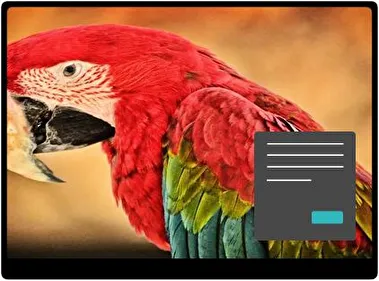 Guacamayo Rojo y Verde Oscuro tema para Windows 11