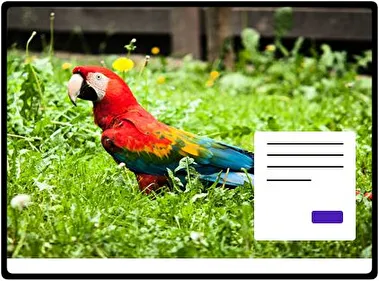 Guacamayo Rojo y Verde tema para Windows 11