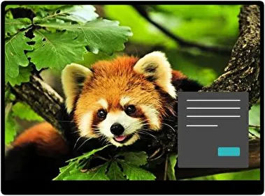 Червоний Панда Темна тема для Windows 11