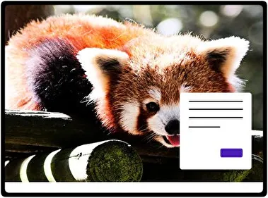 Panda Rojo tema para Windows 11