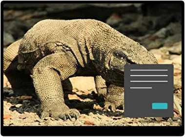 Reptilef Oscuro tema para Windows 11