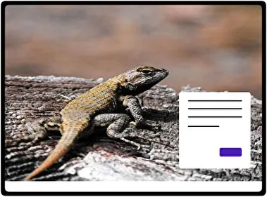 Reptilef tema para Windows 11