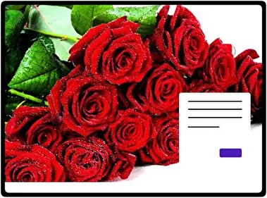 Rosas tema para Windows 11