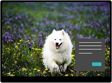 Samoyedo Oscuro tema para Windows 11