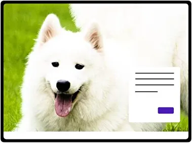 Samoyedo tema para Windows 11