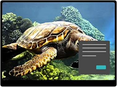Морська черепаха Темна тема для Windows 11