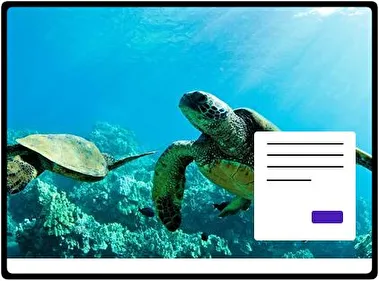 Tortuga Marina tema para Windows 11